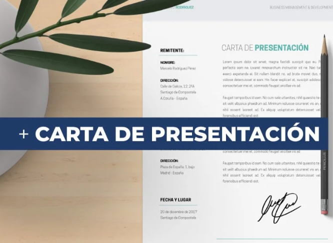 ejemplo de propuesta de servicios profesionales en pdf